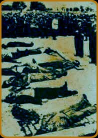 Cadavre de legionari spre înspãimântarea populatiei...