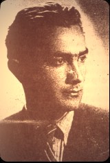 Prof. Remus Danes