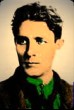 Corneliu Codreanu, Capitanul