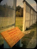 "La aceasta granita la 12.10.1962 a fost impuscat Kurt Lichtenstein..."