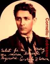 Codreanu